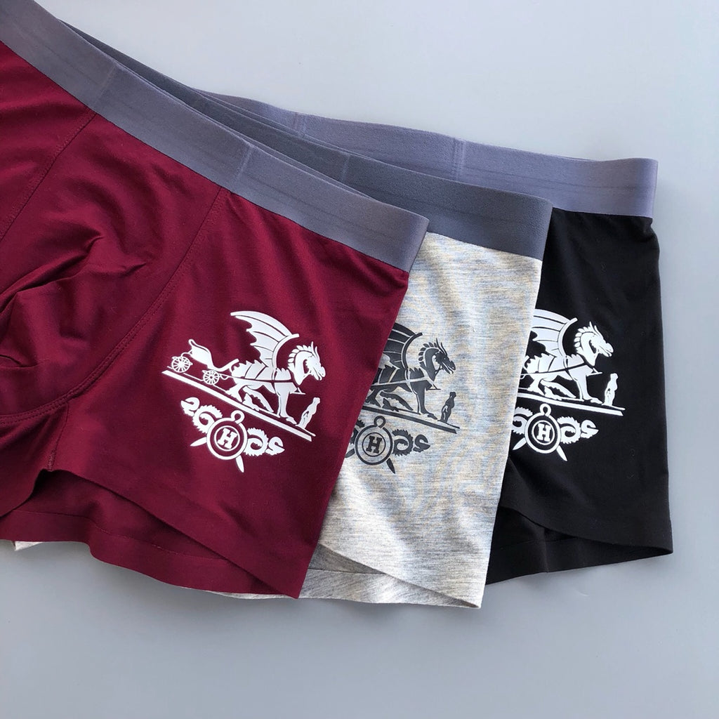 Hermes winged carriage leg trunks, image 1