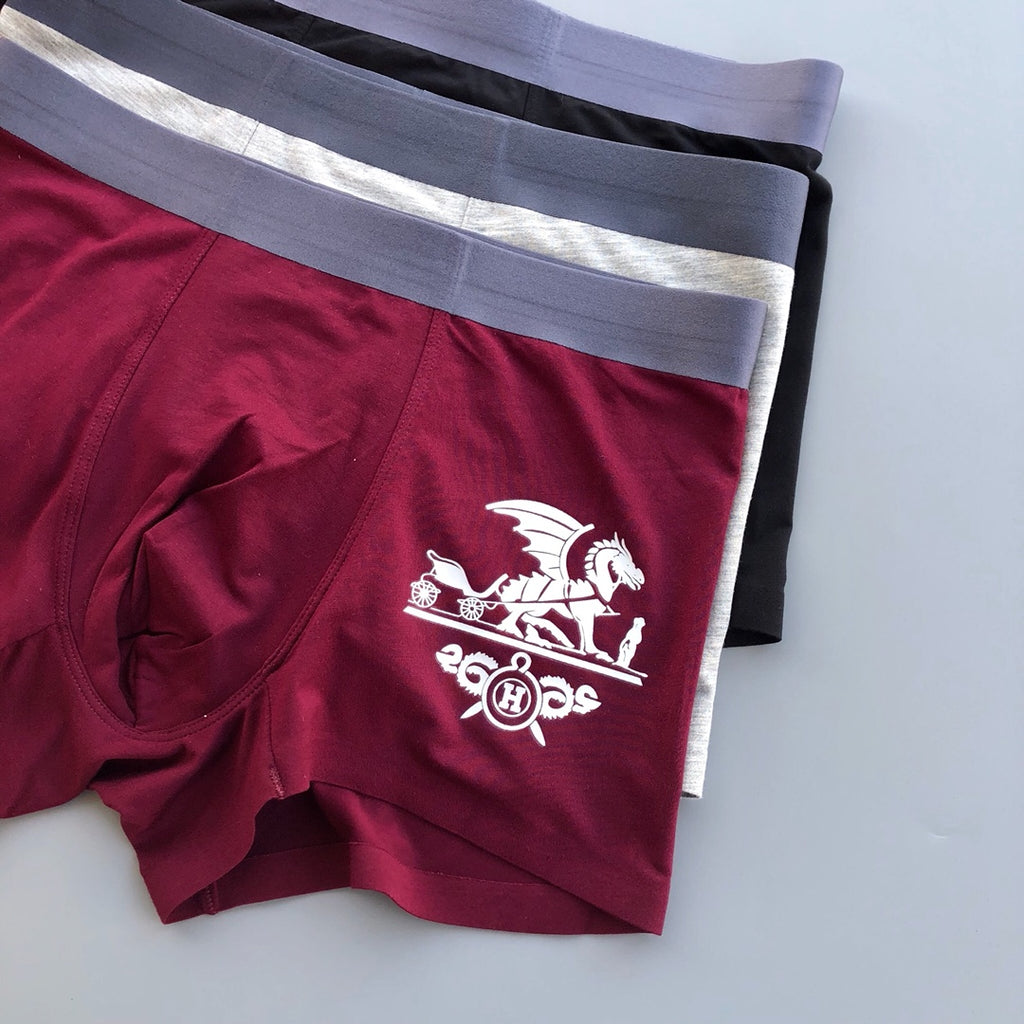 Hermes winged carriage leg trunks, image 4