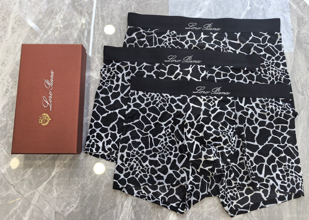 Loro Piana Abstract Line Boxer Briefs - Box of 3 - image 4