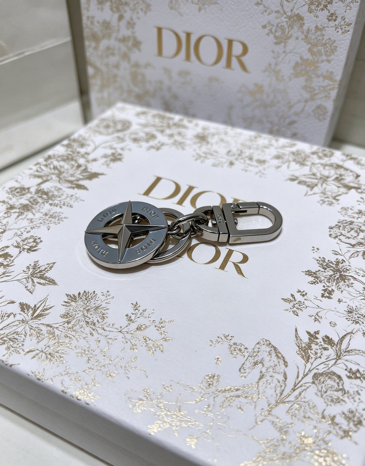 Dior Gray Compass Keychain - product image 4