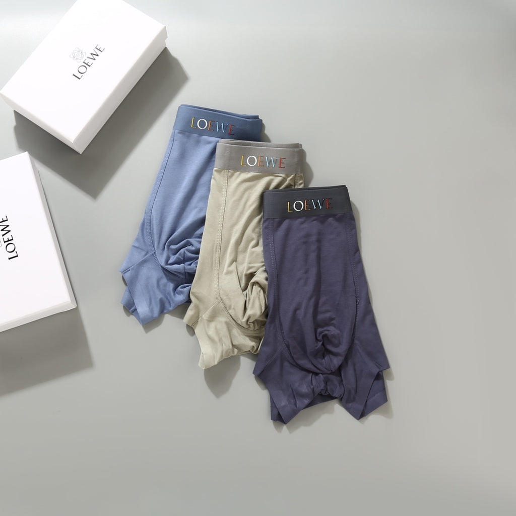 Loewe muted contrast waist anagram boxer briefs - view 5