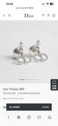 Dior Silver-Tone CD Ribbon Knot Earrings - product image 1