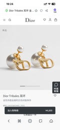 Dior CD Ribbon Knot Earrings - product image 1